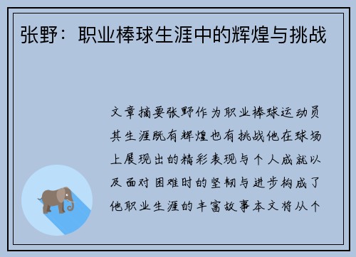 张野：职业棒球生涯中的辉煌与挑战