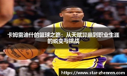 星空体育